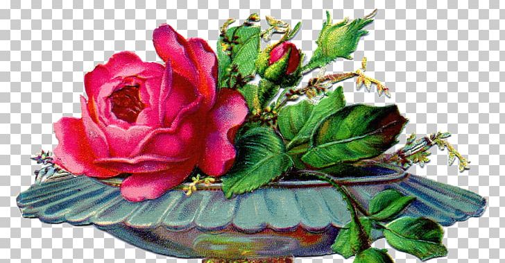 Garden Roses Cabbage Rose Victorian Era Floral Design Flower PNG, Clipart, Art, Artificial Flower, Beach Rose, Cabbage Rose, Cut Flowers Free PNG Download
