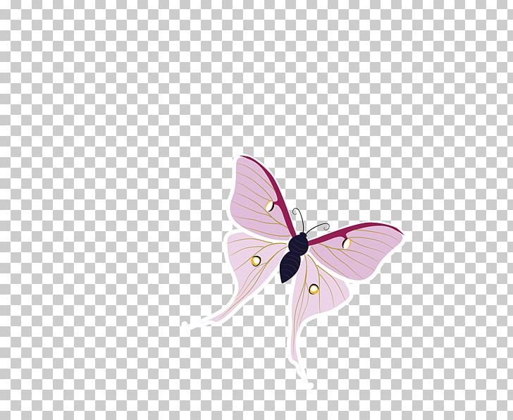 Nymphalidae Butterfly Moth PNG, Clipart, Birds, Birds And Insects, Blue Butterfly, Brush Footed Butterfly, Butterflies Free PNG Download