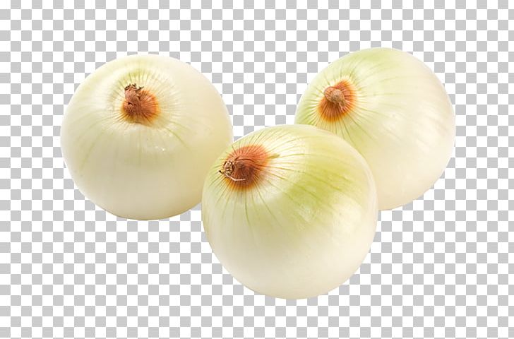 Shallot Vegetable Scallion Carrot PNG, Clipart, Background White, Black White, Carrot, Encapsulated Postscript, Food Free PNG Download