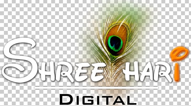 Shree Hari Digital | Shree Hari Editing Lab Logo Graphic Design Photography PNG, Clipart, Ahmedabad, Brand, Digital, Editing, Feather Free PNG Download