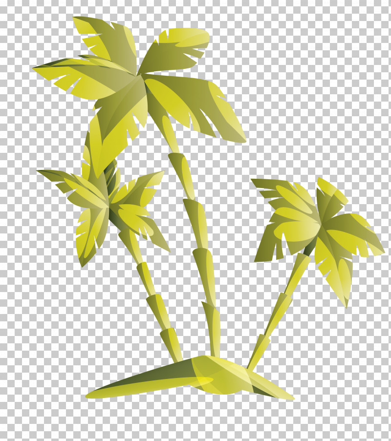 Palm Tree PNG, Clipart, Flower, Houseplant, Leaf, Palm Tree, Plant Free PNG Download