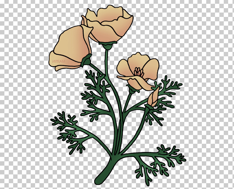 Rose PNG, Clipart, Branch, Cut Flowers, Flower, Pedicel, Petal Free PNG Download