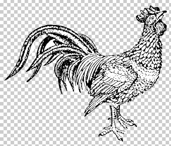 Hei Hei The Rooster Chicken Eurl Les Delices De L Arnes Drawing PNG, Clipart, Animal Figure, Animals, Anime, Art, Artwork Free PNG Download