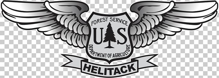 United States Forest Service Smokey Bear United States National Forest Logo PNG, Clipart, 0506147919, Bird, Crest, Drawing, Emblem Free PNG Download