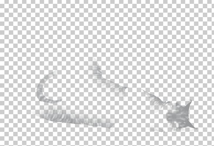 Whiskers Kitten Fur Dog White PNG, Clipart, Animals, Black And White, Canidae, Carnivoran, Cat Free PNG Download