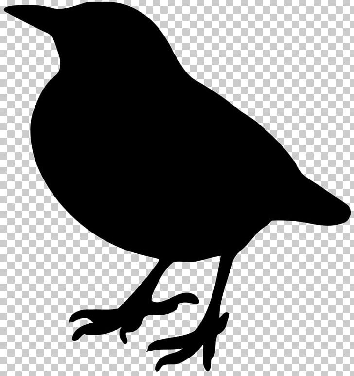 American Crow Bird Silhouette PNG, Clipart, American Crow, Animals, Artwork, Beak, Bird Free PNG Download