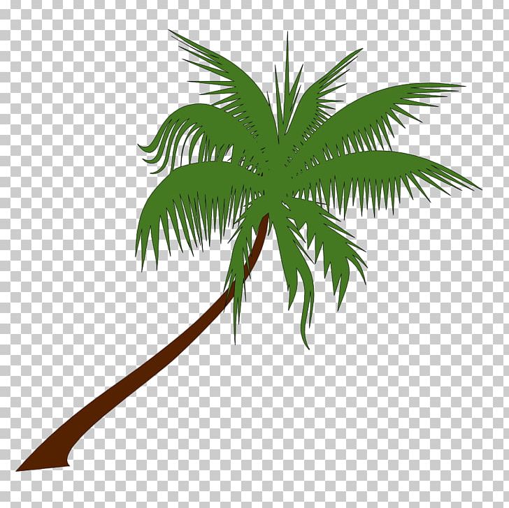 Arecaceae Coconut PNG, Clipart, Arecaceae, Arecales, Coconut, Free Content, Grass Free PNG Download