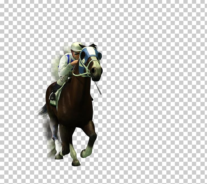 Horse Racing Jockey Sports Betting Gambling PNG, Clipart, Animals, Bookmaker, Bridle, Equestrian, Equestrian Sport Free PNG Download