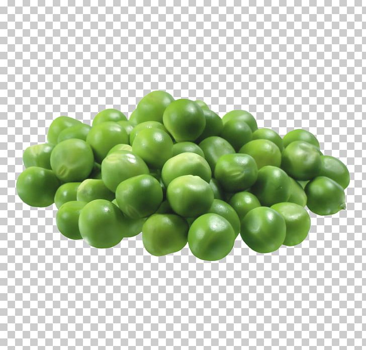 Vegetable Computer Icons PNG, Clipart, Bean, Chillicoriandermintgreen, Computer Icons, Download, Encapsulated Postscript Free PNG Download