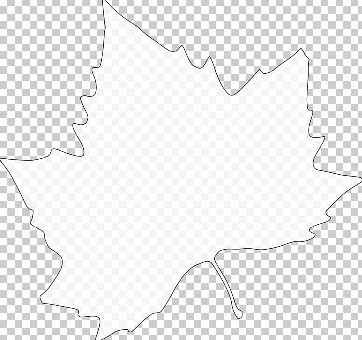 White Leaf Point Angle PNG, Clipart, Angle, Area, Black And White, Diagram, Leaf Free PNG Download
