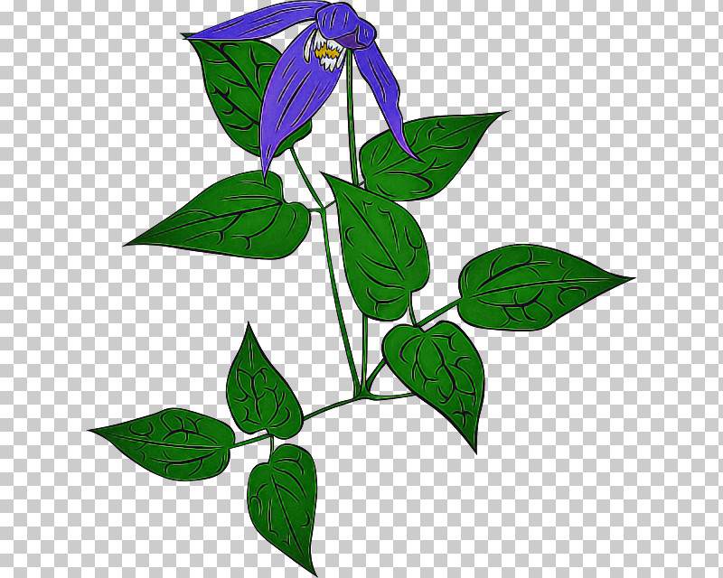 Flower Leaf Plant Plant Stem PNG, Clipart, Flower, Leaf, Plant, Plant Stem Free PNG Download