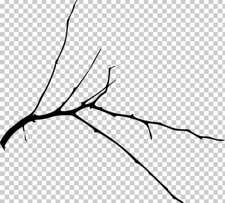 Branch Tree Silhouette Line Art PNG, Clipart, Angle, Black, Black And White, Branch, Flower Free PNG Download