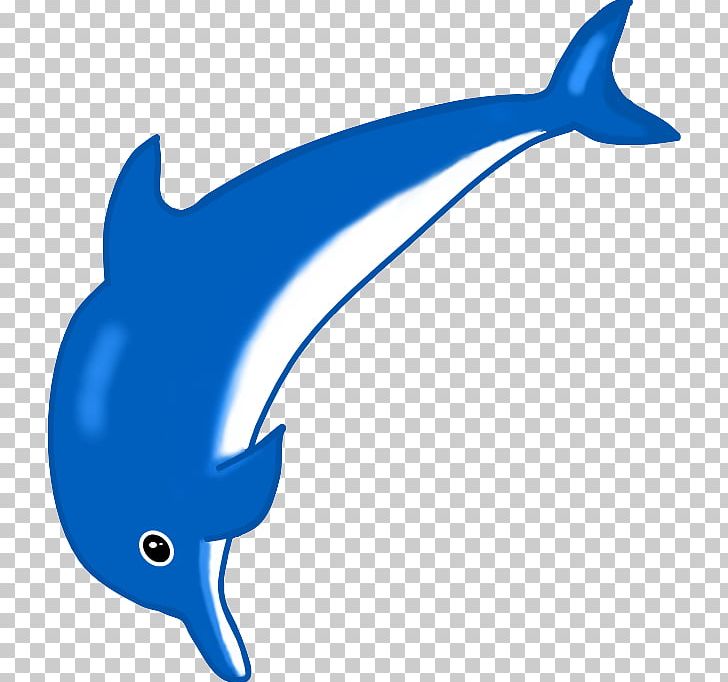 Common Bottlenose Dolphin Tucuxi Porpoise Iruka Umino PNG, Clipart, Animal, Animal Figure, Animals, Beak, Bottlenose Dolphin Free PNG Download