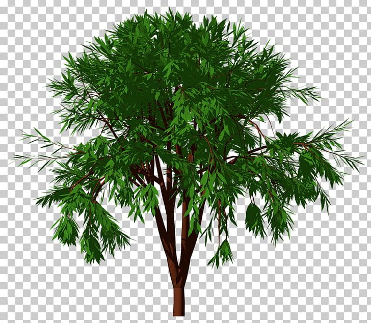 Tree Branch Forest Nature Garden PNG, Clipart, Branch, Flowerpot, Forest, Forest Gardening, Garden Free PNG Download