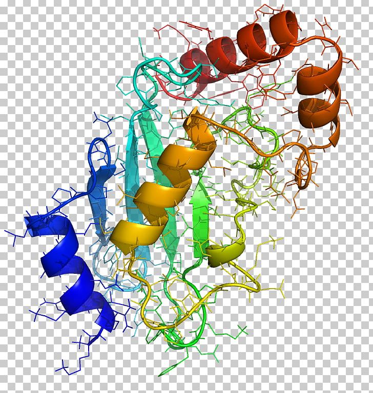 Ubiquitin-conjugating Enzyme Protein Post-translational Modification PNG, Clipart, Acetylation, Art, Artwork, Branch, Chromatin Free PNG Download