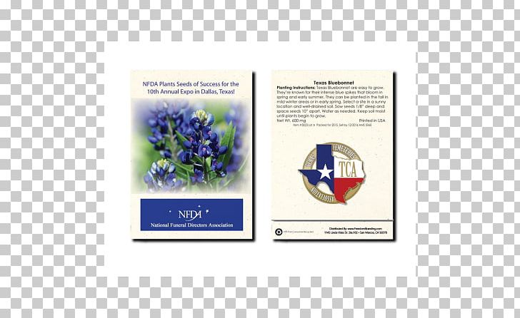 Bluebonnet Flower Seed Lupinus Texensis PNG, Clipart, Advertising Campaign, Annual Plant, Bluebonnet, Brand, Flower Free PNG Download