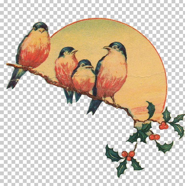 Display Resolution Sticker PNG, Clipart, Art, Beak, Bird, Branch, Chicken Free PNG Download