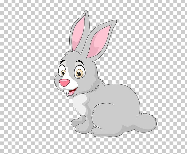 New Zealand Rabbit Cartoon PNG, Clipart, Animals, Bunny, Cartoon, Cute Bunny, Cuteness Free PNG Download