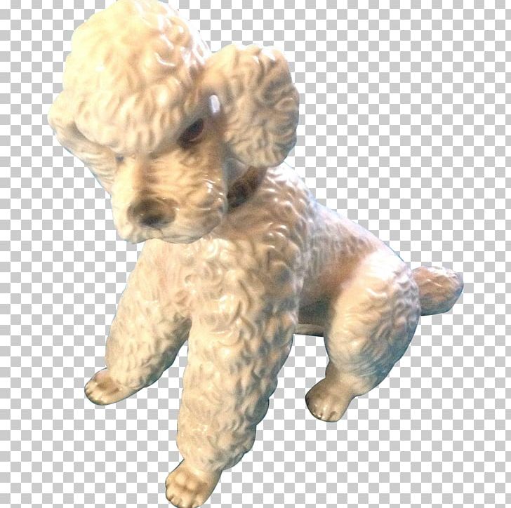 Toy Poodle Miniature Poodle Puppy Cockapoo PNG, Clipart, Animals, Carnivoran, Ceramic, Cockapoo, Companion Dog Free PNG Download