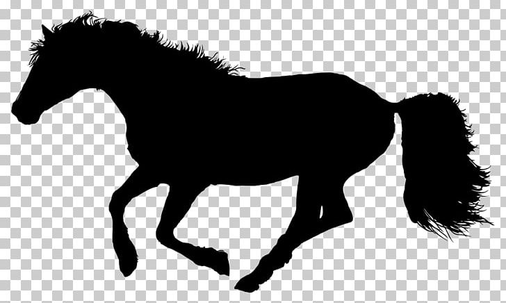 Clydesdale Horse Riding Pony Stallion Equestrian Gallop PNG, Clipart, Animal, Black And White, Bridle, Clydesdale Horse, Colt Free PNG Download