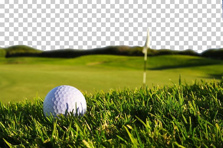 Golf Display Resolution High-definition Television PNG, Clipart, Ball Game, Computer, Computer Monitor, Computer Wallpaper, Course Free PNG Download