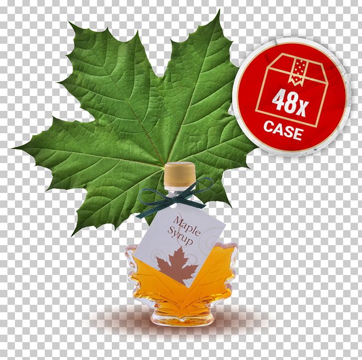 Maple Syrup Maple Leaf Leaf Vegetable PNG, Clipart, Bottle, Leaf, Leaf Vegetable, Maple, Maple Butter Free PNG Download