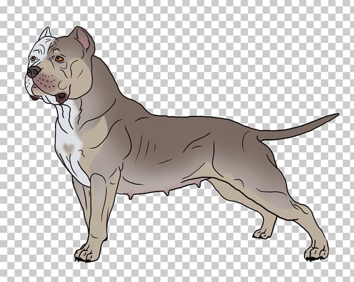 American Pit Bull Terrier Bulldog American Staffordshire Terrier Old English Terrier PNG, Clipart, American Bully, American Pit Bull Terrier, American Staffordshire Terrier, Animal, Bulldog Free PNG Download