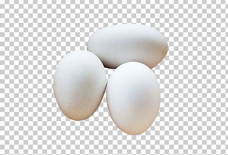 Domestic Goose Egg White PNG, Clipart, Animals, Domestic Goose, Egg, Eggs, Eggshell Free PNG Download