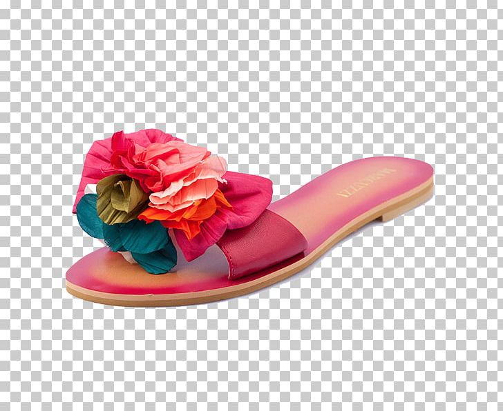 Slipper Sandal Shoe PNG, Clipart, Download, Fashion, Flip, Flip Flop, Flip Flops Free PNG Download