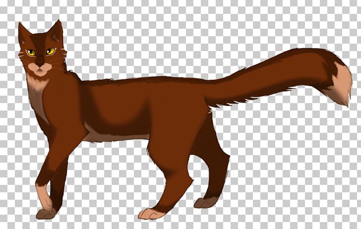 Whiskers Cat Kitten Thornclaw Hazeltail PNG, Clipart, Animals, Canidae, Carnivoran, Cat Like Mammal, Deviantart Free PNG Download