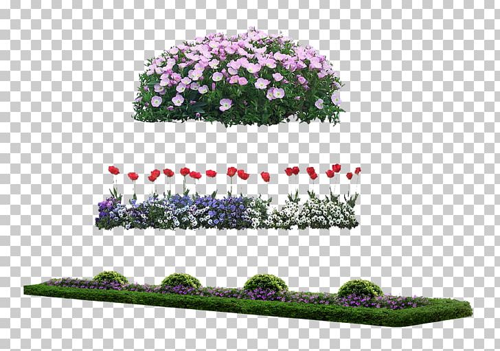 Flower PNG, Clipart, Adobe Illustrator, Bed, Download, Encapsulated Postscript, Flora Free PNG Download