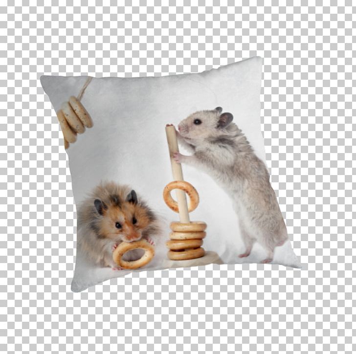 Rodent Hamster Rat Throw Pillows Cushion PNG, Clipart, Animal, Animals, Cushion, Hamster, Material Free PNG Download