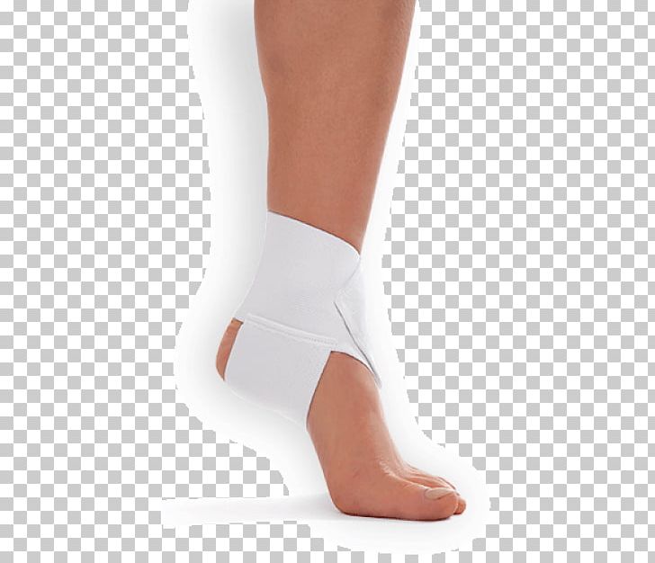 Toe Ankle Shoe Calf PNG, Clipart, Ankle, Arm, Calf, Foot, Human Leg ...