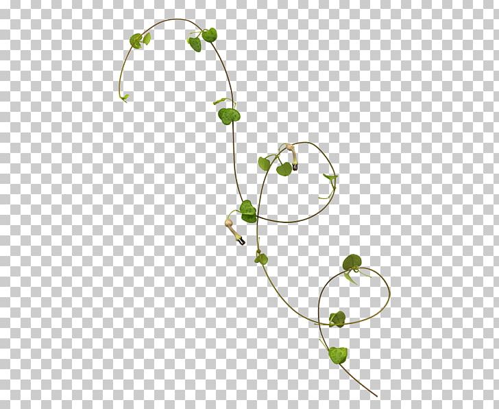 Vine Leaf Plant Stem Rattan PNG, Clipart, Body Jewelry, Branch, Calameae, Common Ivy, Flora Free PNG Download