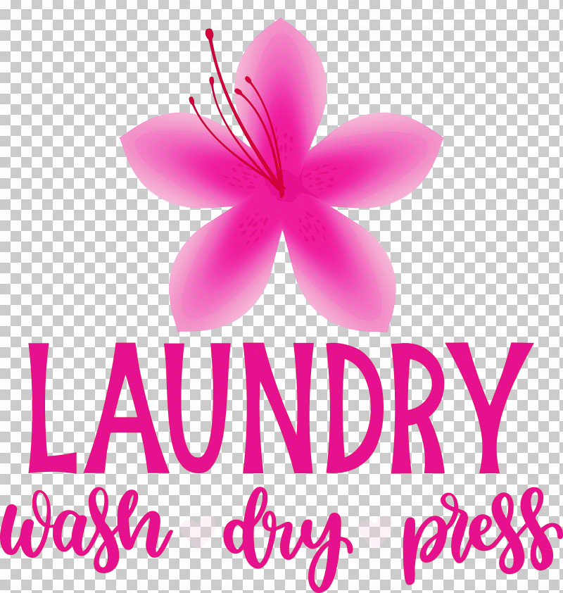 Laundry Wash Dry PNG, Clipart, Biology, Cut Flowers, Dry, Flower, Herbaceous Plant Free PNG Download