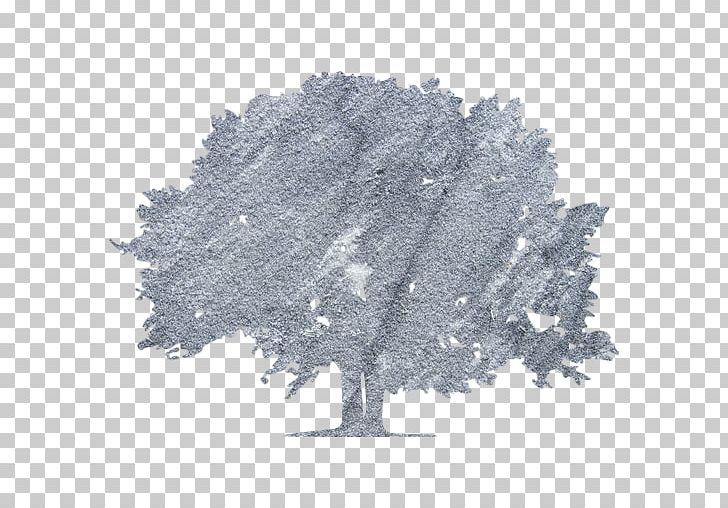 Fir Stock Photography PNG, Clipart, Black, Black And White, Computer Icons, Fir, Gray Tree Free PNG Download