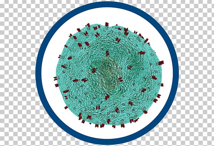 Cancer Immunotherapy Chimeric Antigen Receptor Immune System PNG, Clipart, Antigen, Cancer, Cancer Cell, Cancer Vaccine, Cells Free PNG Download