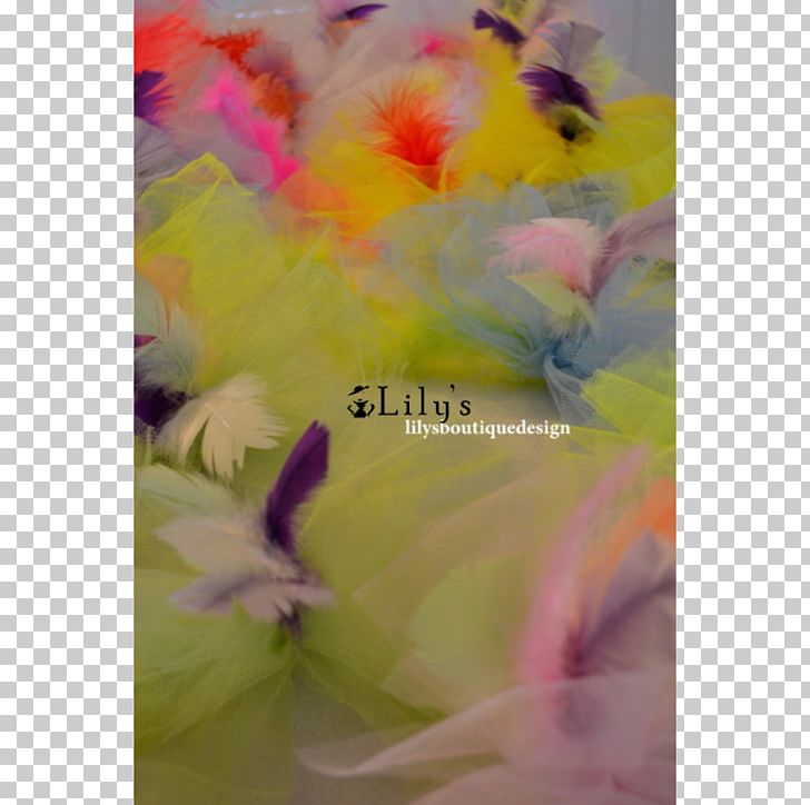 Close-up PNG, Clipart, Closeup, Feather, Flower, Others, Petal Free PNG Download