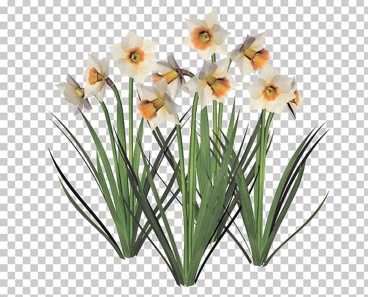 Daffodil Flowerpot Cut Flowers Jonquille Garden PNG, Clipart, Amaryllis Family, Common Lilac, Common Poppy, Cornflower, Cut Flowers Free PNG Download