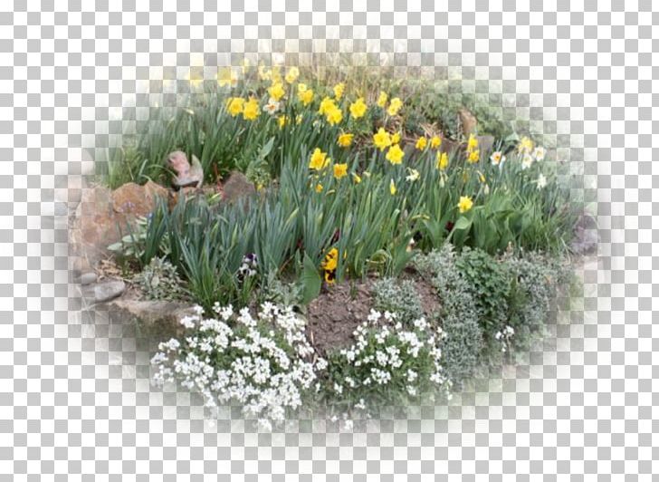 Floral Design Flowerpot Grasses Herb PNG, Clipart, Art, Family, Floral Design, Floristry, Flower Free PNG Download