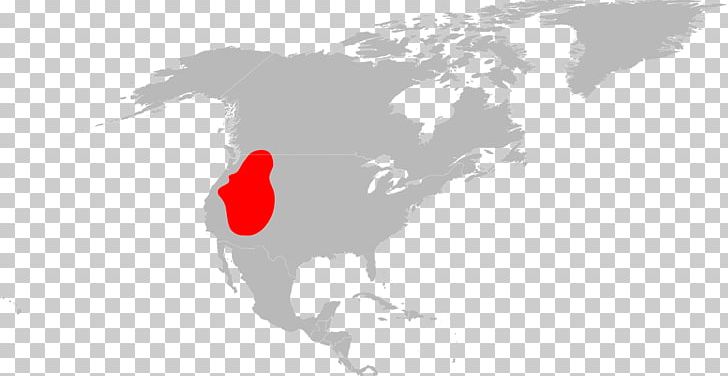 United States Blank Map World Map Wikimedia Commons PNG, Clipart, Americas, Area, Blank Map, Border, Map Free PNG Download