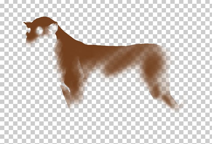 Dog Breed Italian Greyhound Lion Saluki Felidae PNG, Clipart, Brown, Carnivoran, Companion Dog, Dog, Dog Breed Free PNG Download