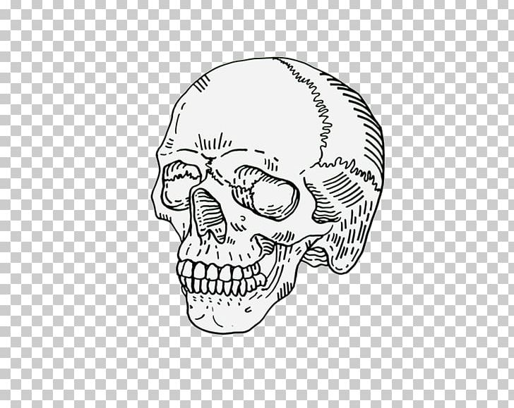 Drawing Human Skull Symbolism Calavera Art PNG, Clipart, Art, Black And White, Bone, Calavera, Death Free PNG Download