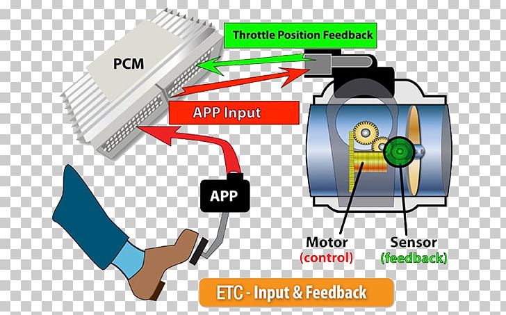 Light Electronic Throttle Control Toyota Actuator PNG, Clipart, Brand, Communication, Diagram, Driving, Electrical Filament Free PNG Download