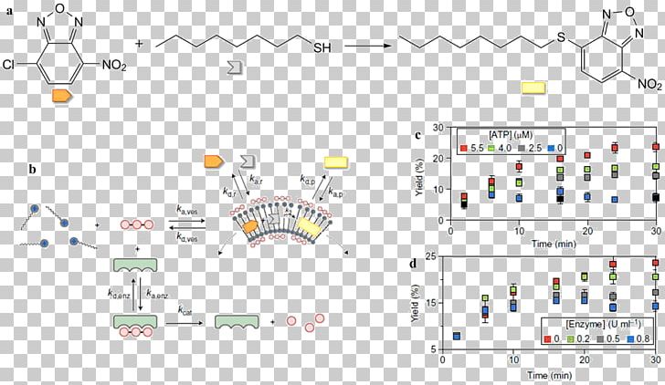 Line Point Angle Product Map PNG, Clipart, Angle, Area, Art, Design M Group, Diagram Free PNG Download