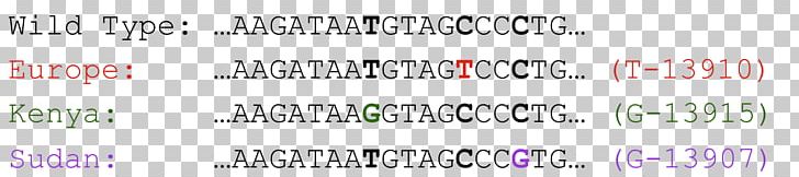 Milk Lactase Single-nucleotide Polymorphism Genetics DNA PNG, Clipart, Angle, Area, Aretus, Brand, Code Free PNG Download
