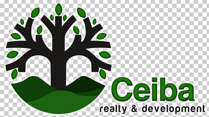 St. Margaret PNG, Clipart, Belize, Brand, Cayo District, Ceiba, Grass Free PNG Download