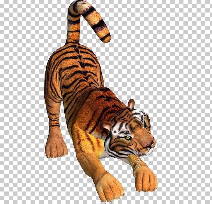 Tiger Lion Wildcat Felidae PNG, Clipart, Animal, Animal Figure, Animals, Big Cat, Big Cats Free PNG Download