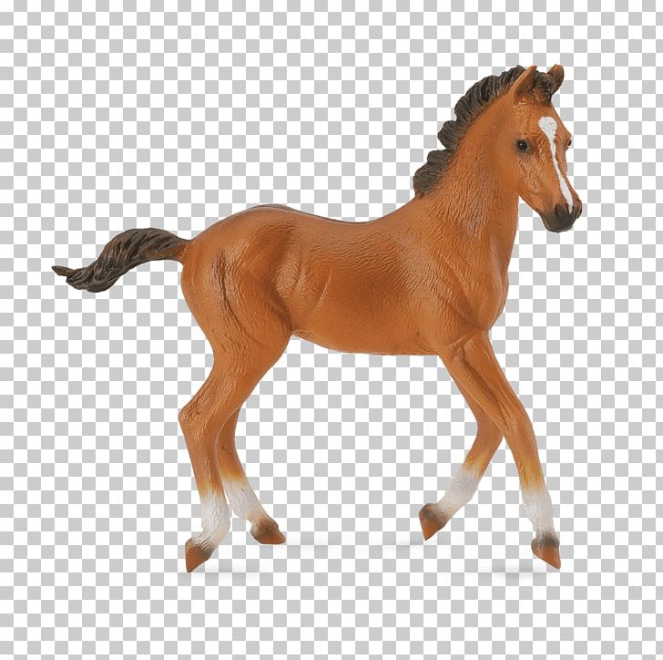 American Quarter Horse Foal American Paint Horse Clydesdale Horse Mare PNG, Clipart, American Paint Horse, American Quarter Horse, Animal Figure, Bay, Bridle Free PNG Download