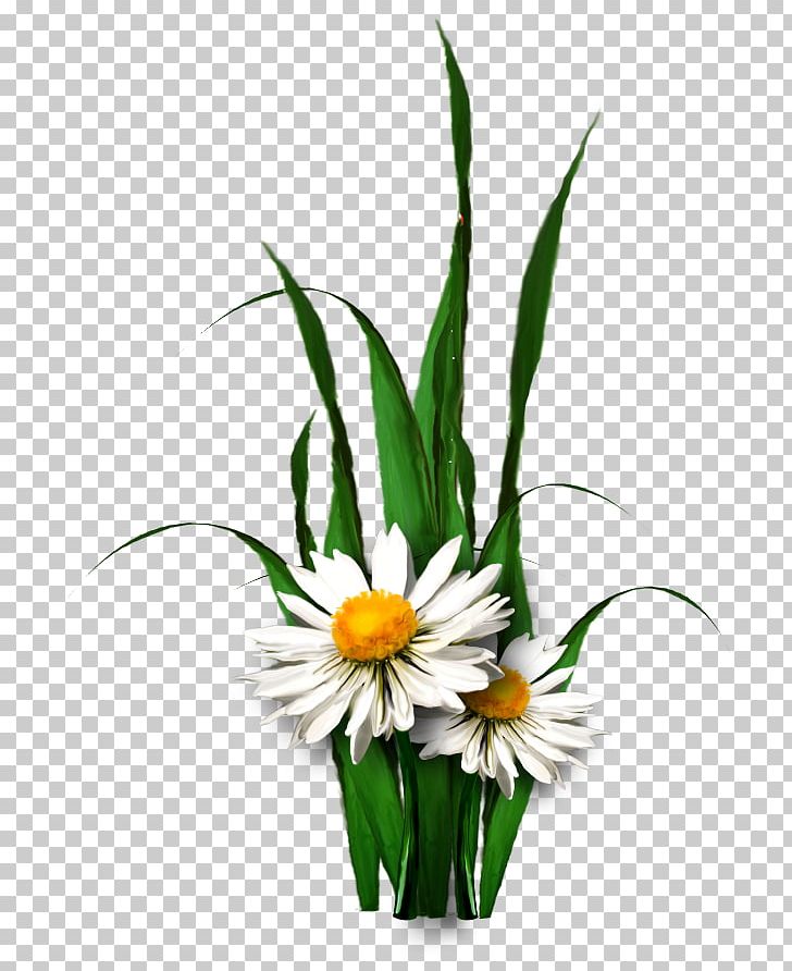 Cut Flowers Floral Design PNG, Clipart, Blog, Cut Flowers, Daisy, Flora, Floral Design Free PNG Download